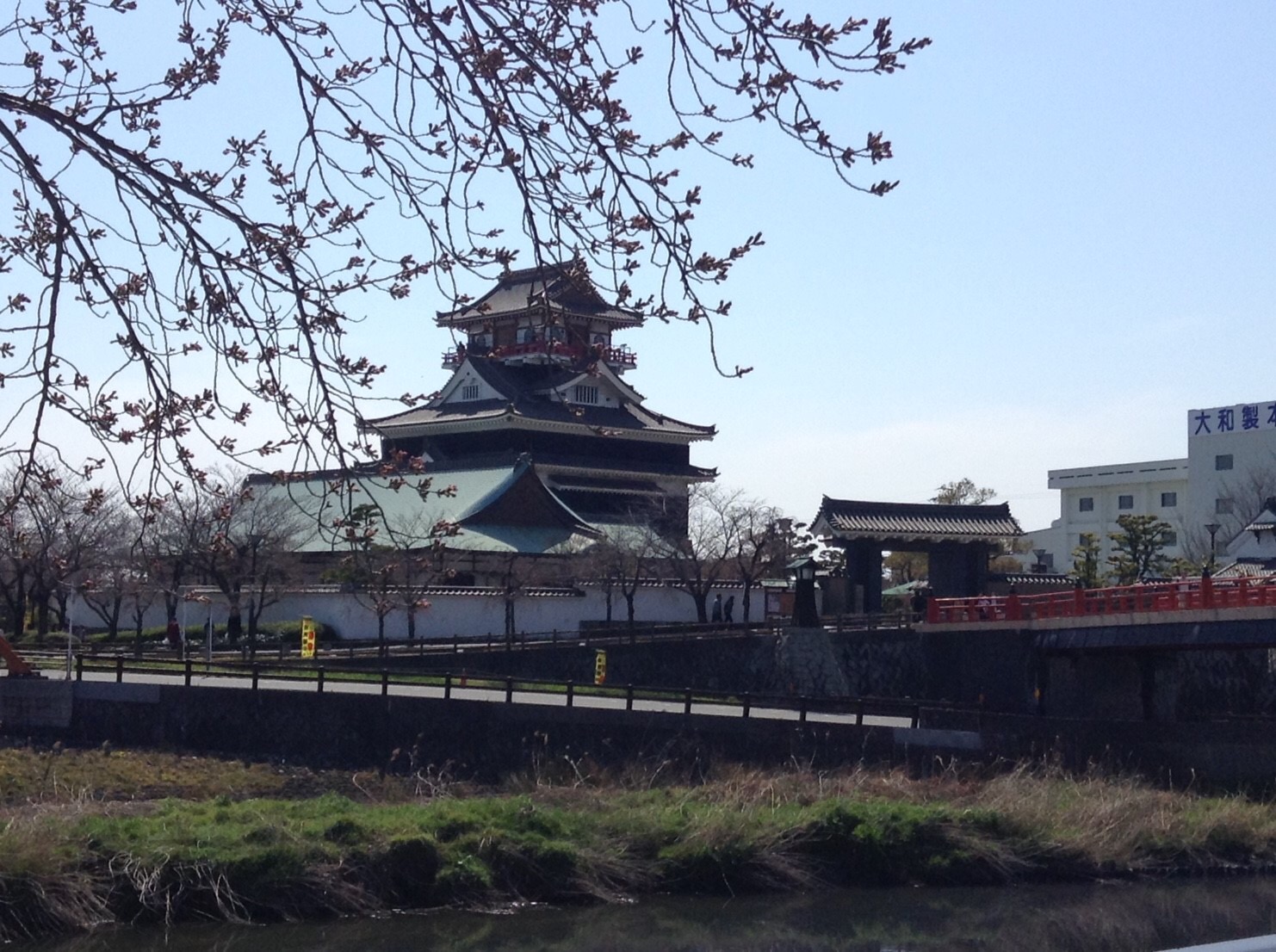 清洲城桜祭りサイクリングの写真集！